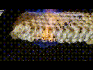 20180711.gif