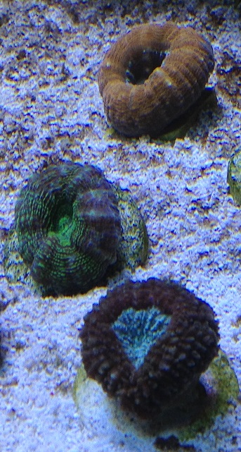 img_7911.jpg