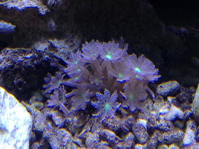 img_8315.jpg